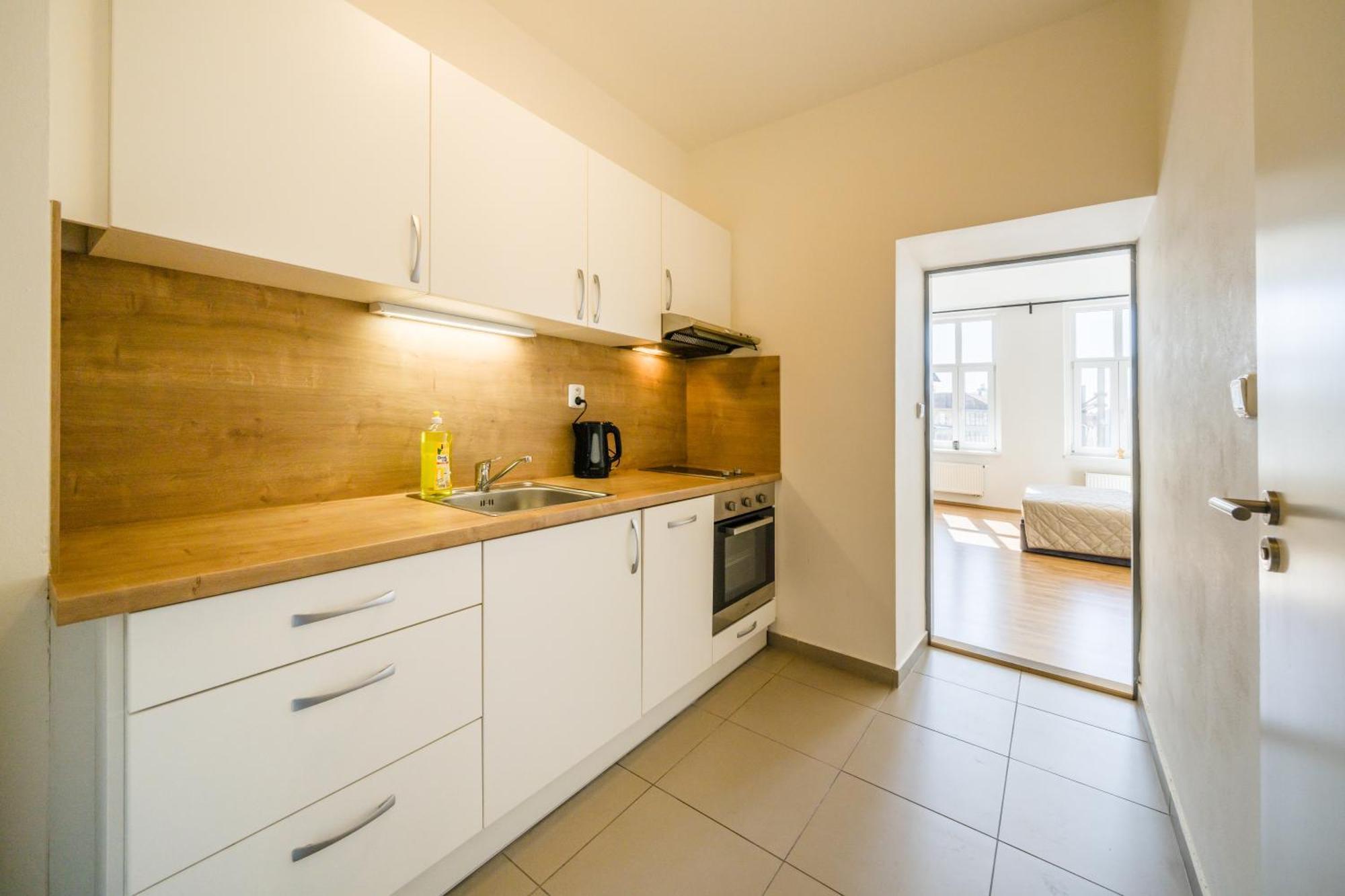 Apartia Vlhka 26, Brno-center * 布尔诺