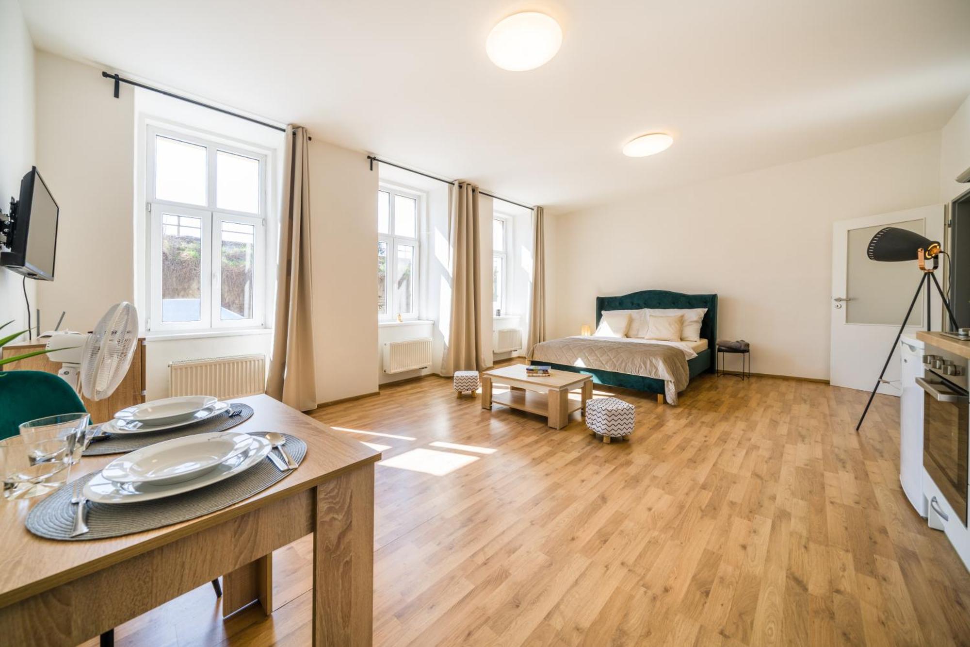 Apartia Vlhka 26, Brno-center *