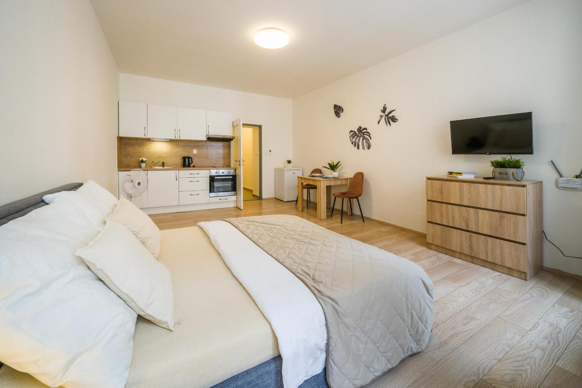 Apartia Vlhka 26, Brno-center Appartamento Brno